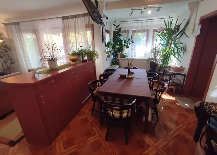 In - Balaton 18746 *